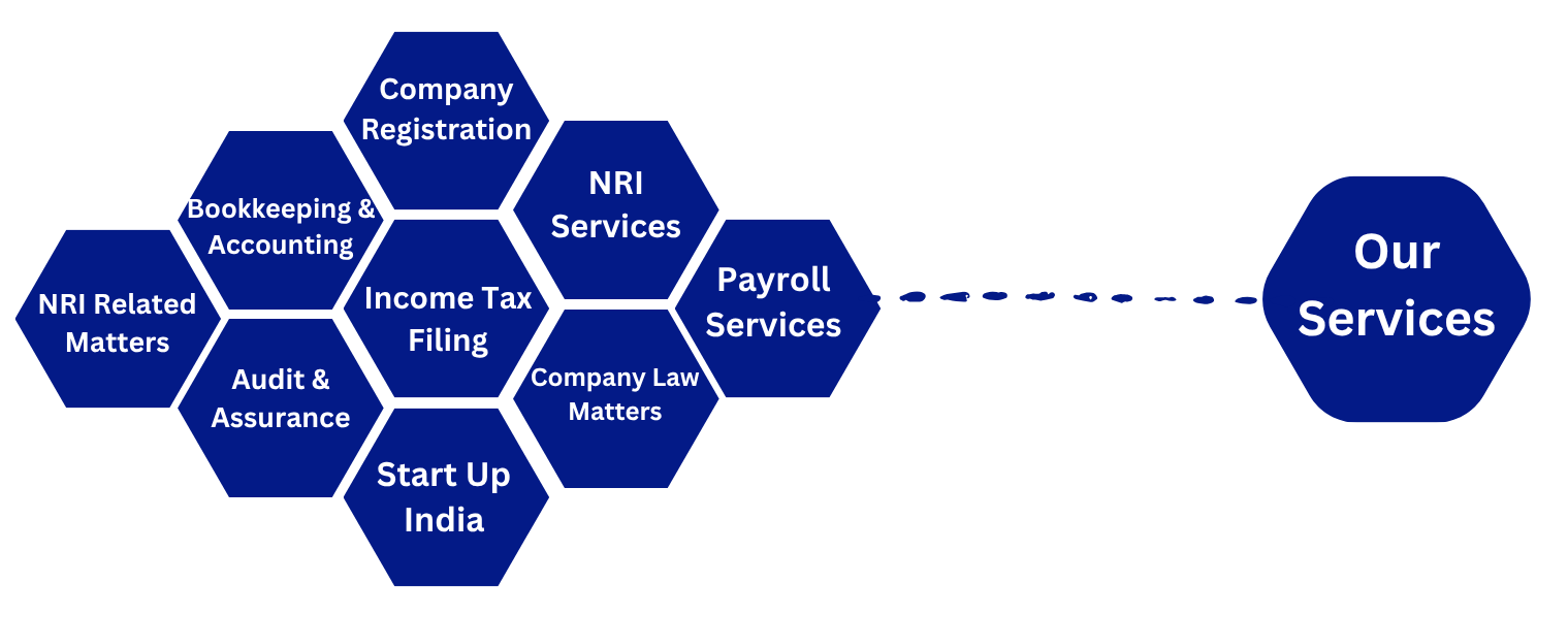Trusted Chartered Accountant Services for Your Financial Growth (5)